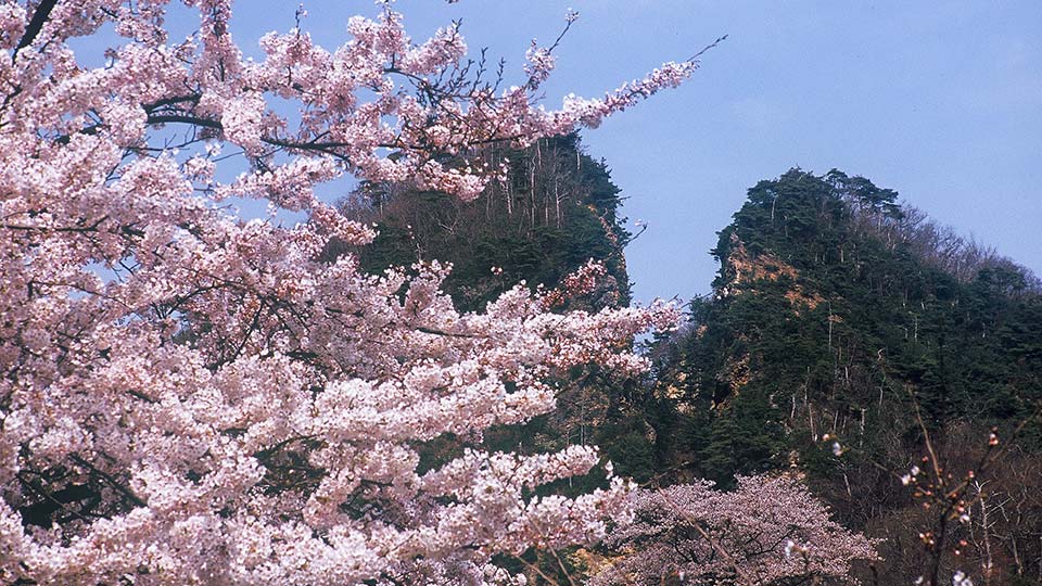 佐渡の四季 おけさ観光タクシー